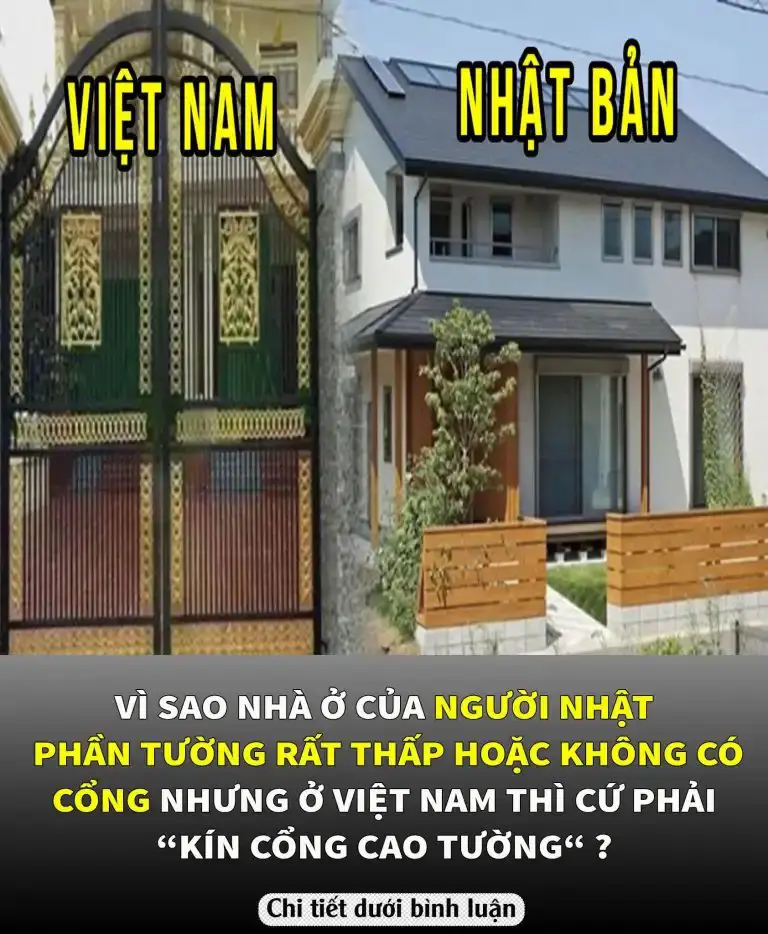 Vì sao nhà ở của người Nhật phần tường rất thấp hoặc không có cổng nhưng ở Việt Nam thì cứ phải “kín cổng cao tường“ ?