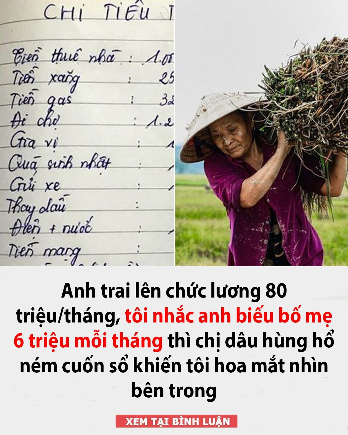 Anh trai lên chức lương 80 triệu/tháng, tôi nhắc anh biếu bố mẹ 6 triệu mỗi tháng thì chị dâu hùng hổ ném cuốn sổ khiến tôi hoa mắt nhìn bên trong