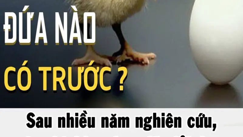 Sau nhiều năm nghiên cứu, các nhà khoa học đã giải được câu hỏi ‘quả trứng có trước hay con gà có trước’: Đáp án vô cùng bất ngờ