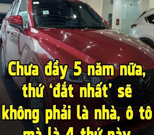 Chưa đầy 5 năm nữa, thứ ‘đắt nhất’ sẽ không phải là nhà, ô tô mà là 4 thứ này