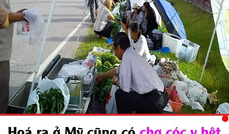 Hoá ra ở Mỹ cũng có chợ cóc y hệt như Việt Nam, người mua ngồi “chồm hổm” chọn hàng