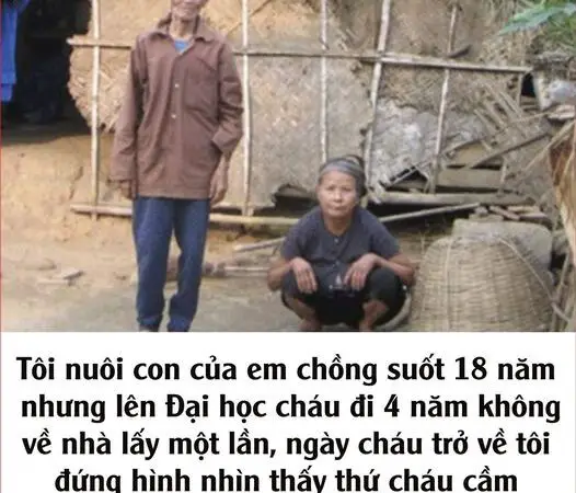 Tôi nuôi con của em chồng suốt 18 năm, nhưng lên Đại học cháu đi 4 năm không về nhà lấy một lần, ngày cháu trở về tôi đứng hình nhìn thấy thứ cháu cầm trên tay…